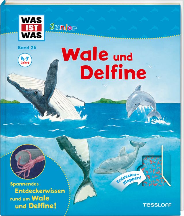 Produktbild: Wale und Delfine / Was ist was junior Bd. 26