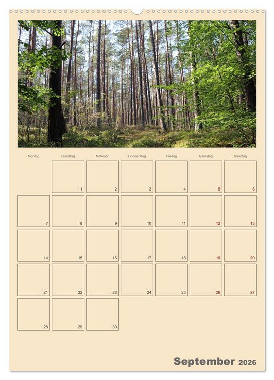 Produktbild: Usedom Ostsee - Terminplaner (hochwertiger Premium Wandkalender 2026 DIN A2 hoch), Kunstdruck in Hochglanz