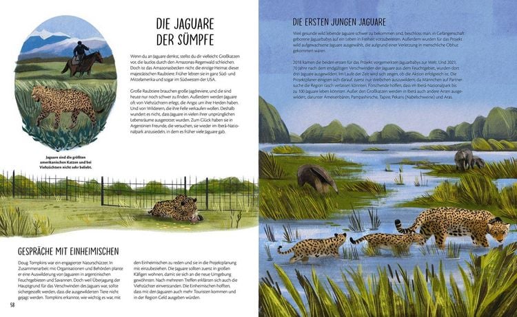 Produktbild: Zur&uuml;ck in die Wildnis