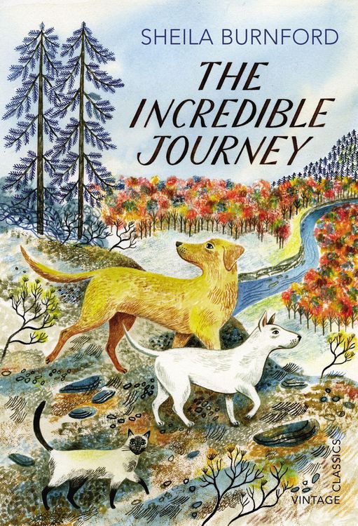 Produktbild: The Incredible Journey