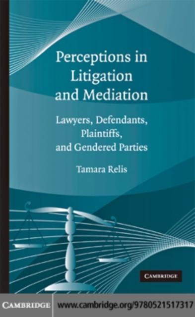 Produktbild: Perceptions in Litigation and Mediation