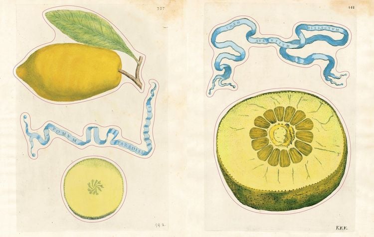 Produktbild: John Derian Sticker Book II