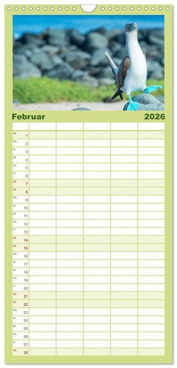 Produktbild: Familienplaner 2026 - Die faszinierende Tierwelt der Galapagos-Inseln mit 5 Spalten (Wandkalender, 21 x 45 cm) CALVENDO