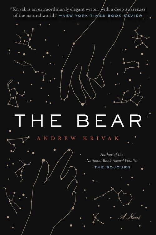 Produktbild: The Bear