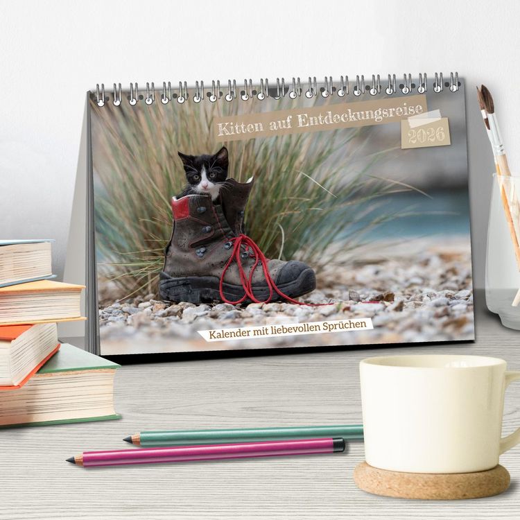 Produktbild: Kitten auf Entdeckungsreise (Tischkalender 2026 DIN A5 quer), CALVENDO Monatskalender