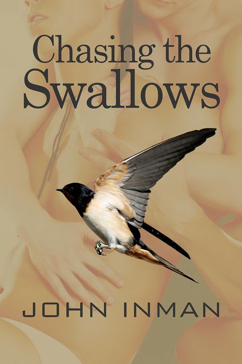 Produktbild: Chasing the Swallows