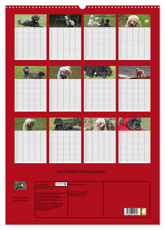 Produktbild: Der Pudel-Familienplaner (Wandkalender 2026 DIN A2 hoch), CALVENDO Monatskalender