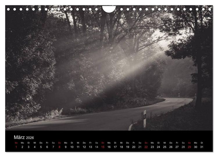 Produktbild: B&auml;ume trees 2026 (Wandkalender 2026 DIN A4 quer), CALVENDO Monatskalender