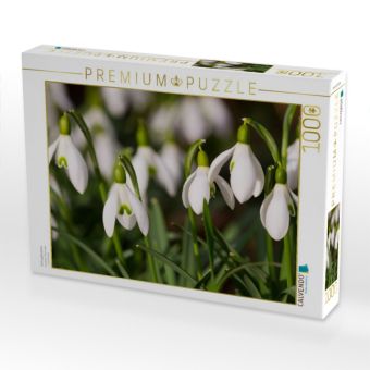 Produktbild: CALVENDO Puzzle Schneegl&ouml;ckchen | 1000 Teile Lege-Gr&ouml;&szlig;e 64x48cm Foto-Puzzle f&uuml;r gl&uuml;ckliche Stunden