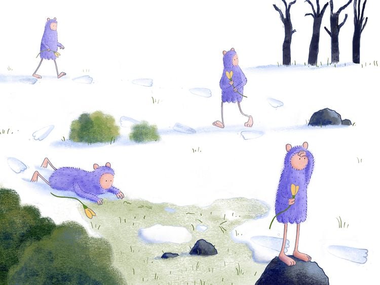 Produktbild: Mo