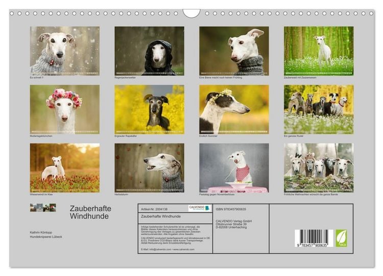 Produktbild: Zauberhafte Windhunde (Wandkalender 2026 DIN A3 quer), CALVENDO Monatskalender