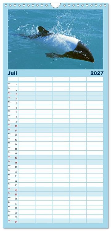 Produktbild: Familienplaner 2027 - Delfine: Elegante Wellenreiter mit 5 Spalten (Wandkalender, 21 x 45 cm) CALVENDO