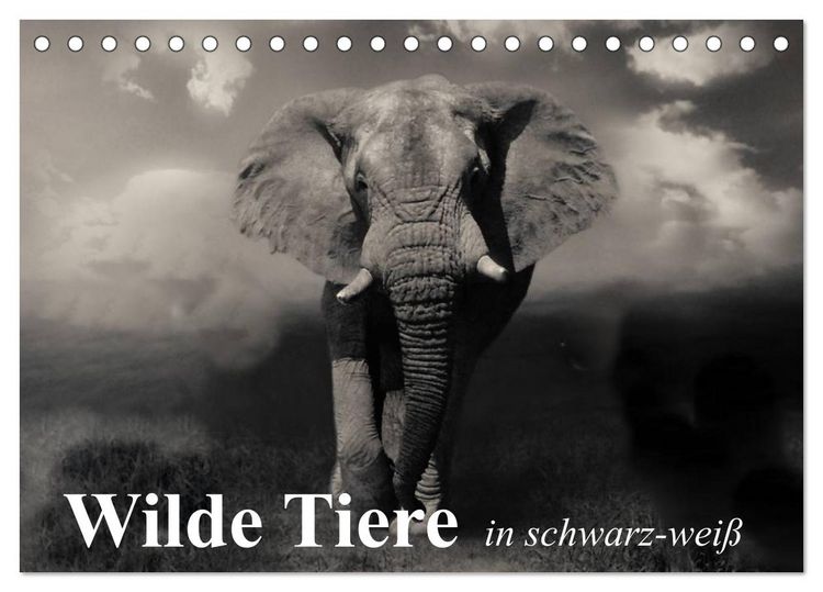 Produktbild: Wilde Tiere in schwarz-wei&szlig; (Tischkalender 2026 DIN A5 quer), CALVENDO Monatskalender