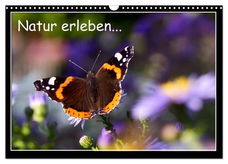Produktbild: Natur erleben... (Wandkalender 2026 DIN A3 quer), CALVENDO Monatskalender