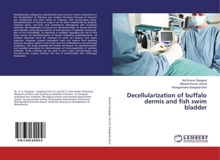 Produktbild: Decellularization of buffalo dermis and fish swim bladder