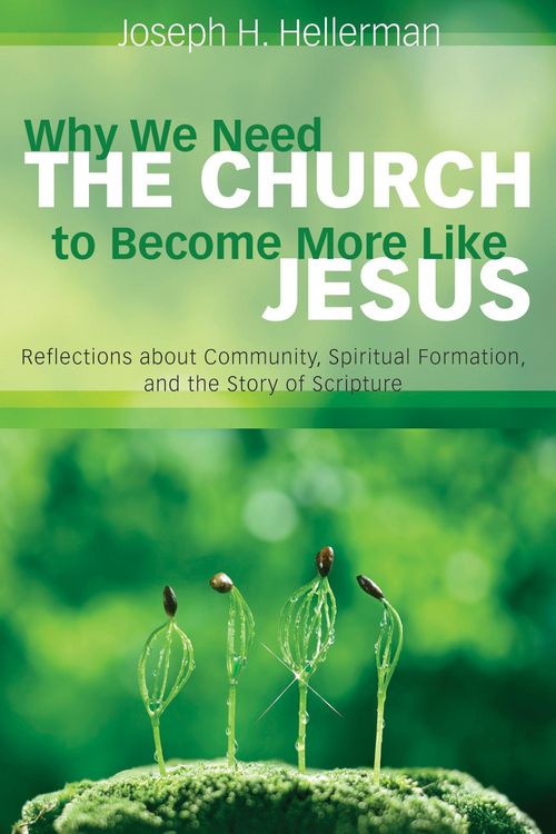 Produktbild: Why We Need the Church to Become More Like Jesus