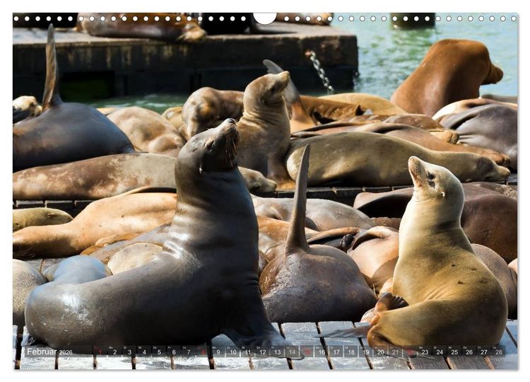 Produktbild: KALIFORNIEN K&uuml;stenimpressionen (Wandkalender 2026 DIN A3 quer), CALVENDO Monatskalender
