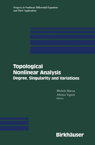 Produktbild: Topological Nonlinear Analysis