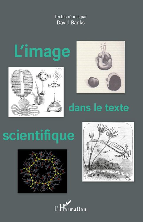 Produktbild: L'image dans le texte scientifique