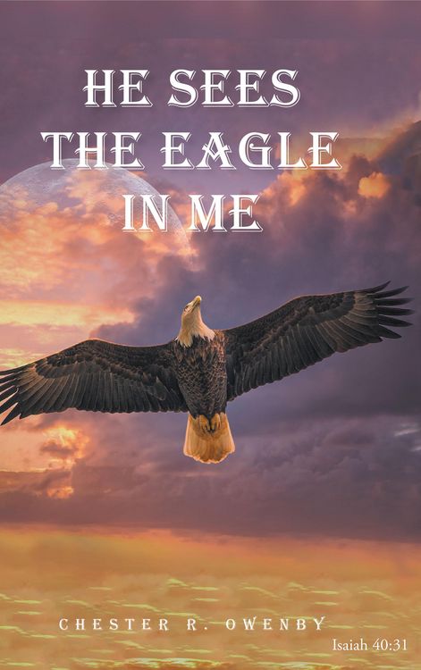 Produktbild: He Sees the Eagle in Me