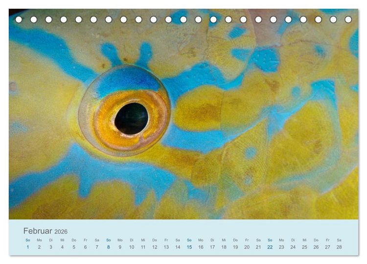 Produktbild: Abenteuer Unterwasser (Tischkalender 2026 DIN A5 quer), CALVENDO Monatskalender