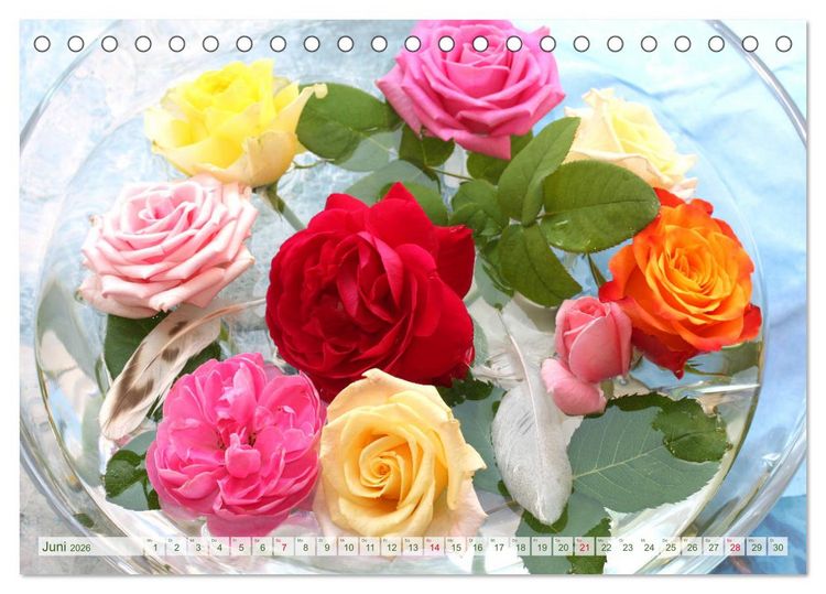 Produktbild: So viele sch&ouml;ne Rosen (Tischkalender 2026 DIN A5 quer), CALVENDO Monatskalender