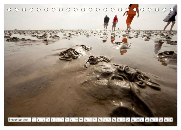 Produktbild: Meerblick - die Nordsee (Tischkalender 2027 DIN A5 quer), CALVENDO Monatskalender