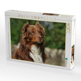 Produktbild: CALVENDO Puzzle Ein Motiv aus dem Kalender Bekannt wie ein bunter Hund. Australian Shepherd - Familienplaner hoch | 1000 Teile Lege-Gr&ouml;&szlig;e 64x48cm Foto