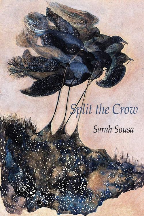 Produktbild: Split the Crow