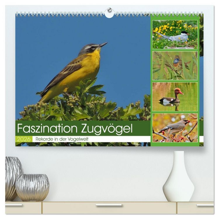 Produktbild: Faszination Zugv&ouml;gel - Rekorde in der Vogelwelt (hochwertiger Premium Wandkalender 2026 DIN A2 quer), Kunstdruck in Hochglanz
