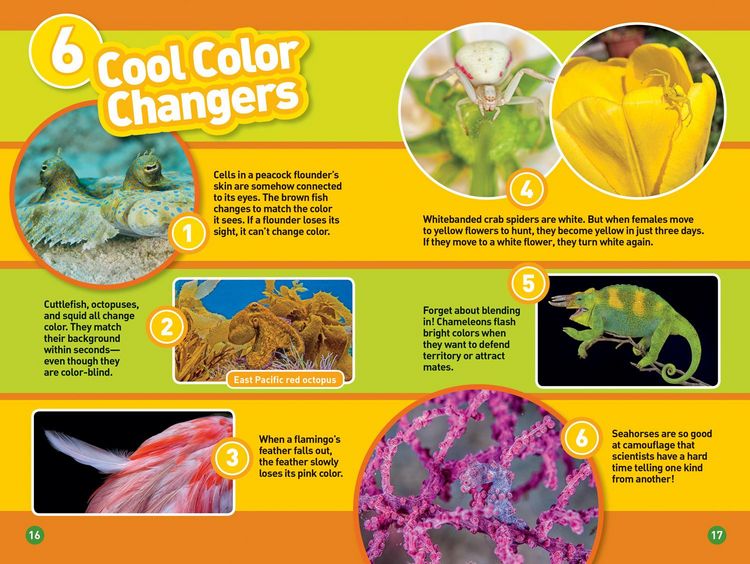 Produktbild: Animals That Change Color (National Geographic Kids Readers, Level 2)