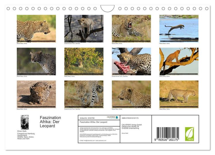 Produktbild: Faszination Afrika: Der Leopard (Wandkalender 2026 DIN A4 quer), CALVENDO Monatskalender