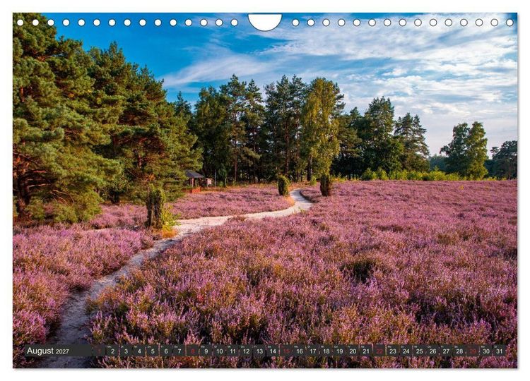 Produktbild: Leben am Naturpark um den D&uuml;mmer See (Wandkalender 2027 DIN A4 quer), CALVENDO Monatskalender