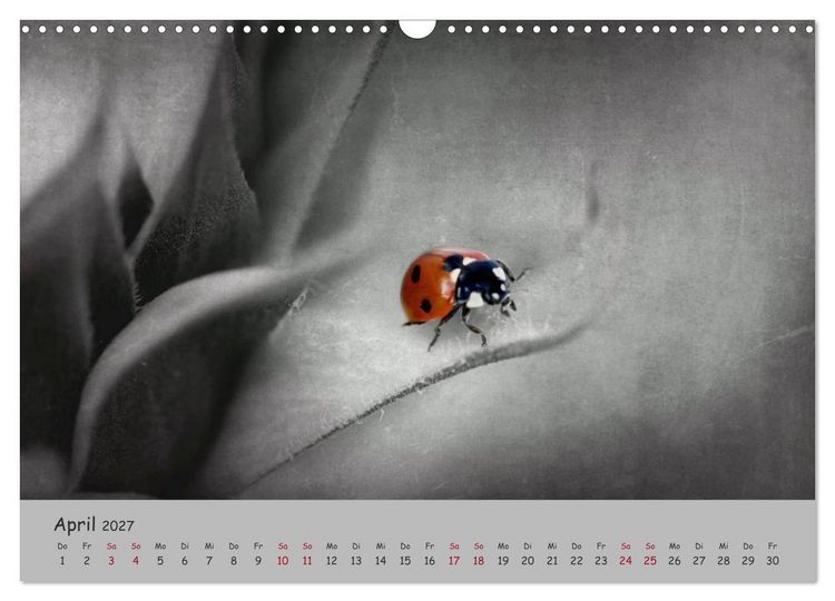 Produktbild: Gl&uuml;cksk&auml;fer (Wandkalender 2027 DIN A3 quer), CALVENDO Monatskalender