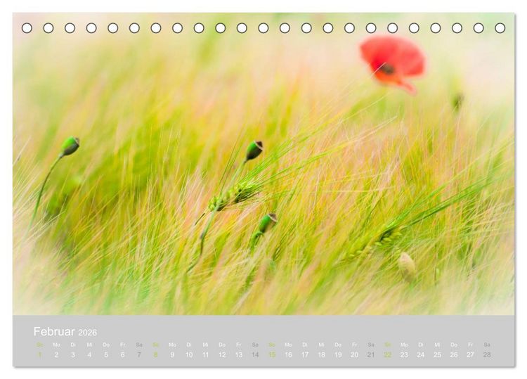 Produktbild: Zauber des Mohns (Tischkalender 2026 DIN A5 quer), CALVENDO Monatskalender