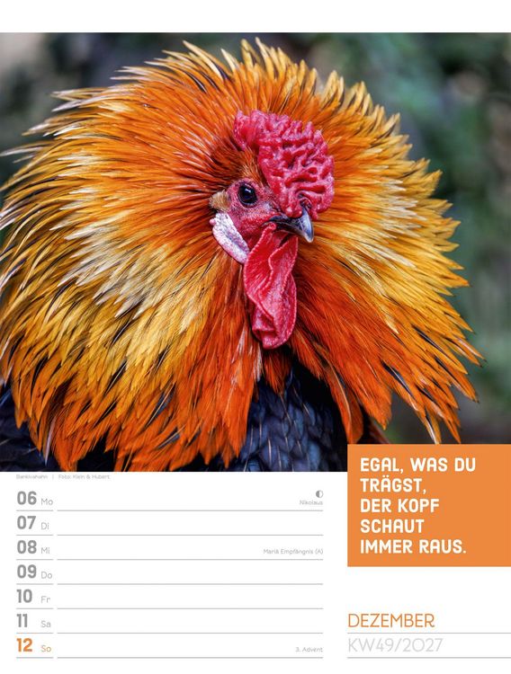 Produktbild: Tierisch Spr&uuml;chekalender Wochenplaner 2027
