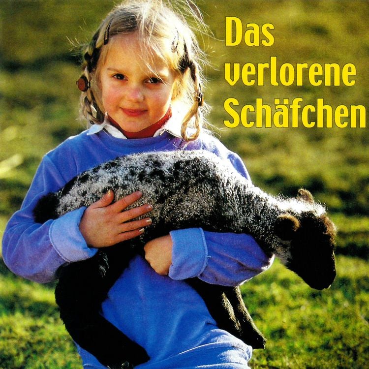 Produktbild: Das verlorene Sch&auml;fchen