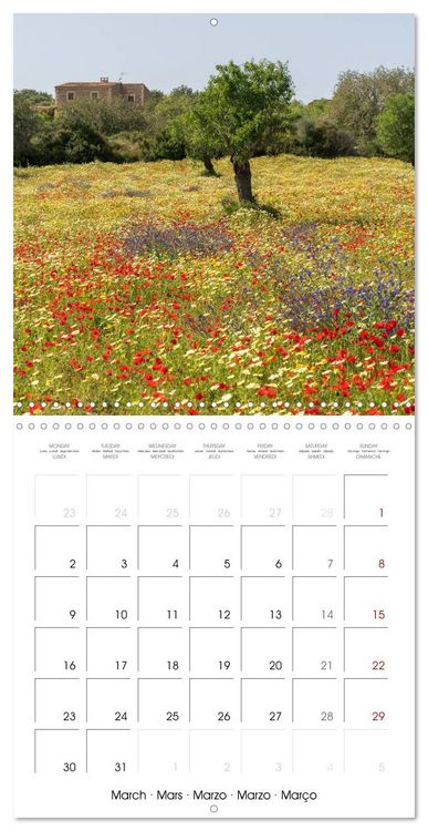 Produktbild: Balearic Islands - Mallorca (Wall Calendar 2026 12 &times; 12 Inch) CALVENDO 12 Month Wall Calendar