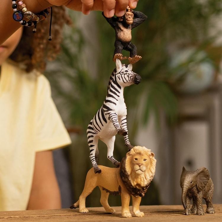 Produktbild: Wild Life Afrika Starter-Set