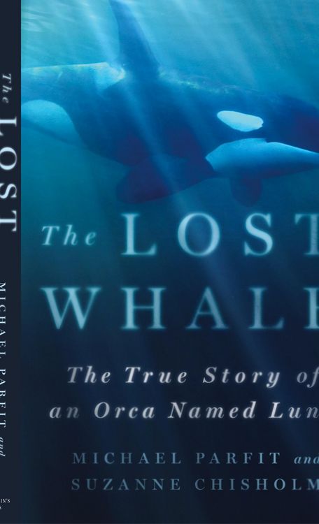 Produktbild: Lost Whale