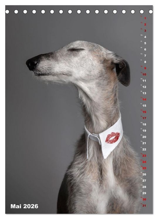 Produktbild: dogmuse deluxe (Tischkalender 2026 DIN A5 hoch), CALVENDO Monatskalender