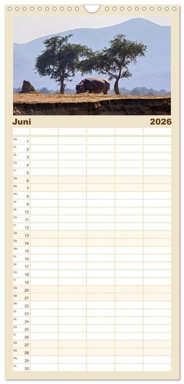 Produktbild: Familienplaner 2026 - Hippos - Gef&auml;hrliche Giganten mit 5 Spalten (Wandkalender, 21 x 45 cm) CALVENDO