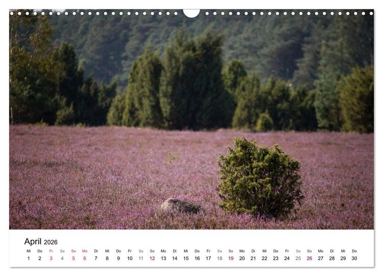 Produktbild: L&uuml;neburger Heide (Wandkalender 2026 DIN A3 quer), CALVENDO Monatskalender