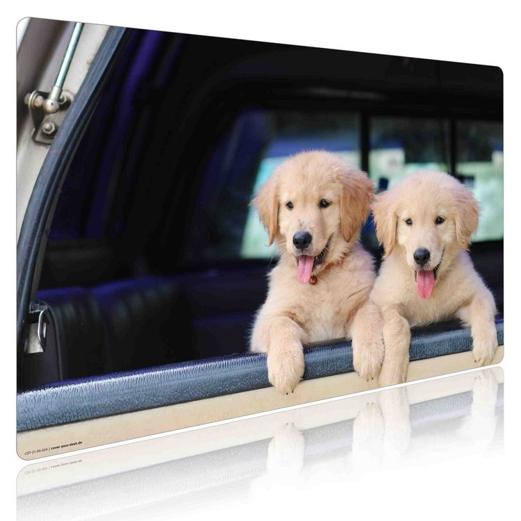 Produktbild: Cover-your-desk Schreibtischunterlage f&uuml;r Kinder und Erwachsene Golden Retriever Welpen, aus hochwertigem Vinyl , 60 x 40 cm
