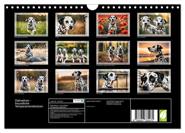 Produktbild: Dalmatiner - freundliche Temperamentsbolzen (Wandkalender 2026 DIN A4 quer), CALVENDO Monatskalender