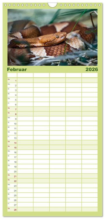 Produktbild: Familienplaner 2026 - Reptilien & Amphibien Portraits mit 5 Spalten (Wandkalender, 21 x 45 cm) CALVENDO