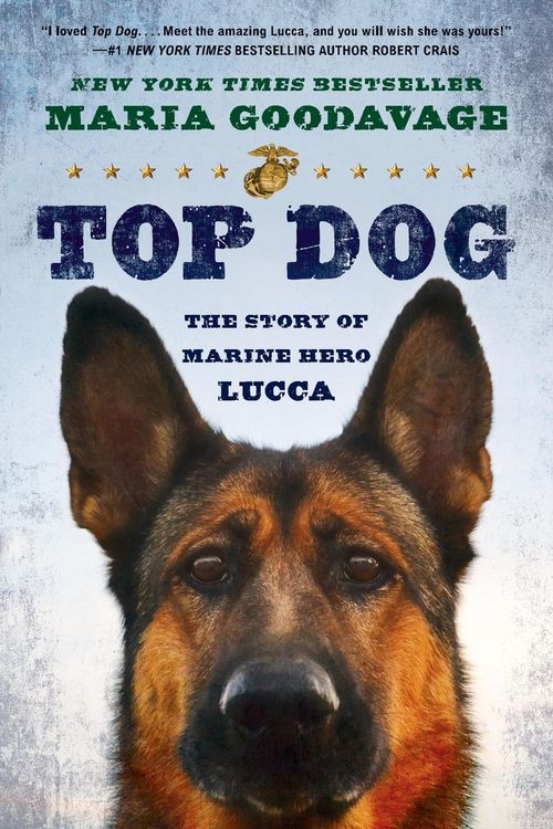 Produktbild: Top Dog