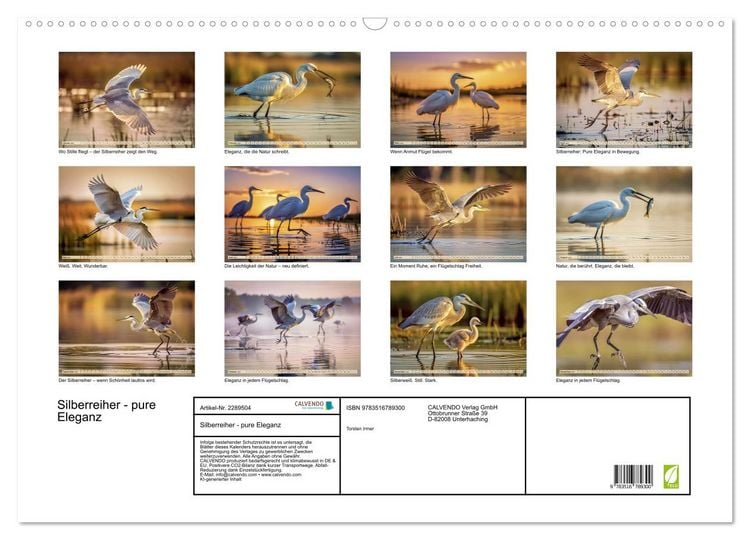 Produktbild: Silberreiher - pure Eleganz (Wandkalender 2027 DIN A2 quer), CALVENDO Monatskalender