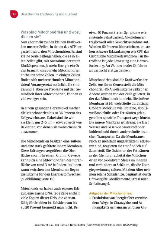 Produktbild: Der Burnout-Notfallkoffer