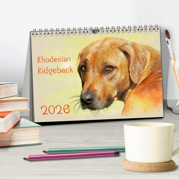 Produktbild: Rhodesian Ridgeback 2026 (Tischkalender 2026 DIN A5 quer), CALVENDO Monatskalender